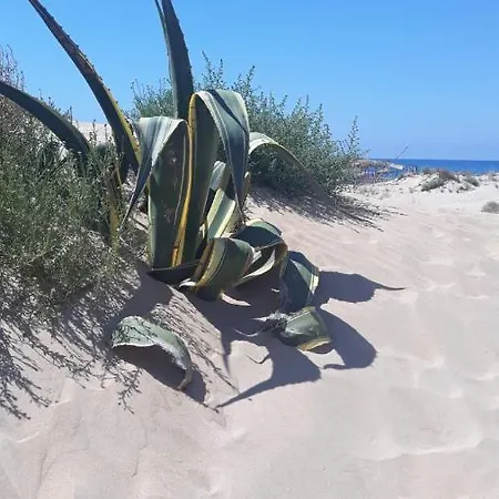 Pensjonat Luce Del Sud *