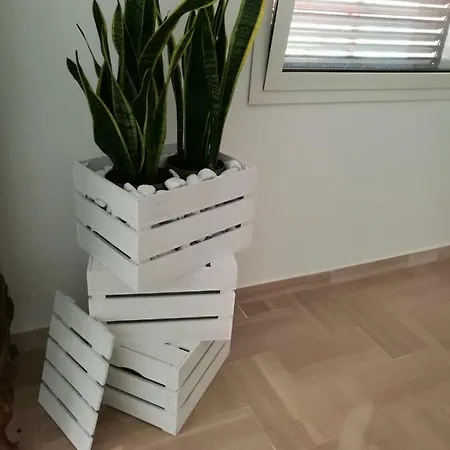 Casa Vacanze Luce Del Sud * Syracuse